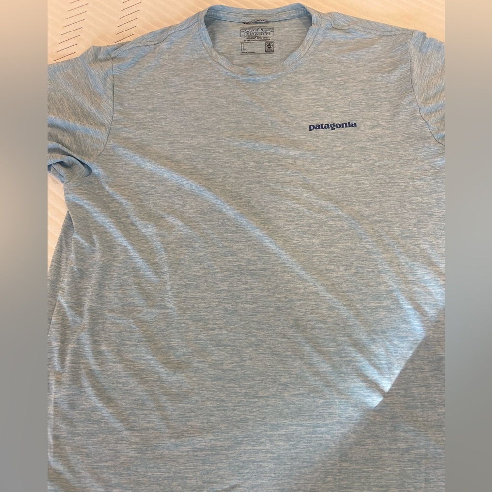 COPY - Large Patagonia Tee